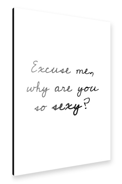 Alu-Dibond "Excuse Me" 30x20 cm artboxONE