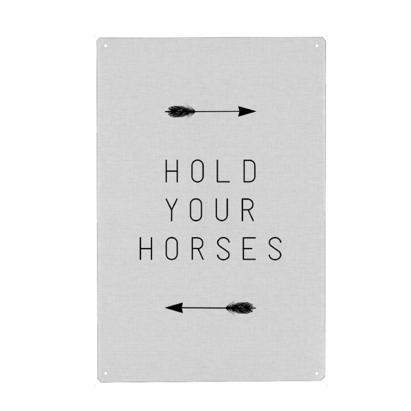 Metall Poster "Hold Your Horses Arrow" artboxONE - Typografie,Tiere,Lustig