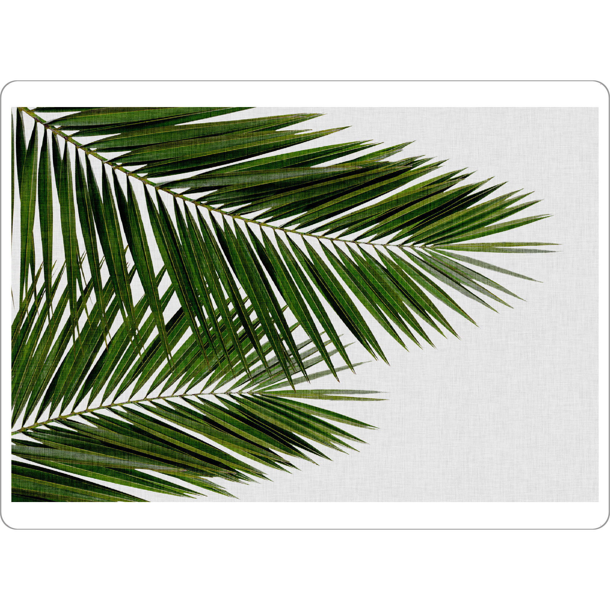 Tischset "Cohune Palm Grün" artboxONE - Natur,Floral - Palme,Palmblätter,Grün,Cohune - Bild palme