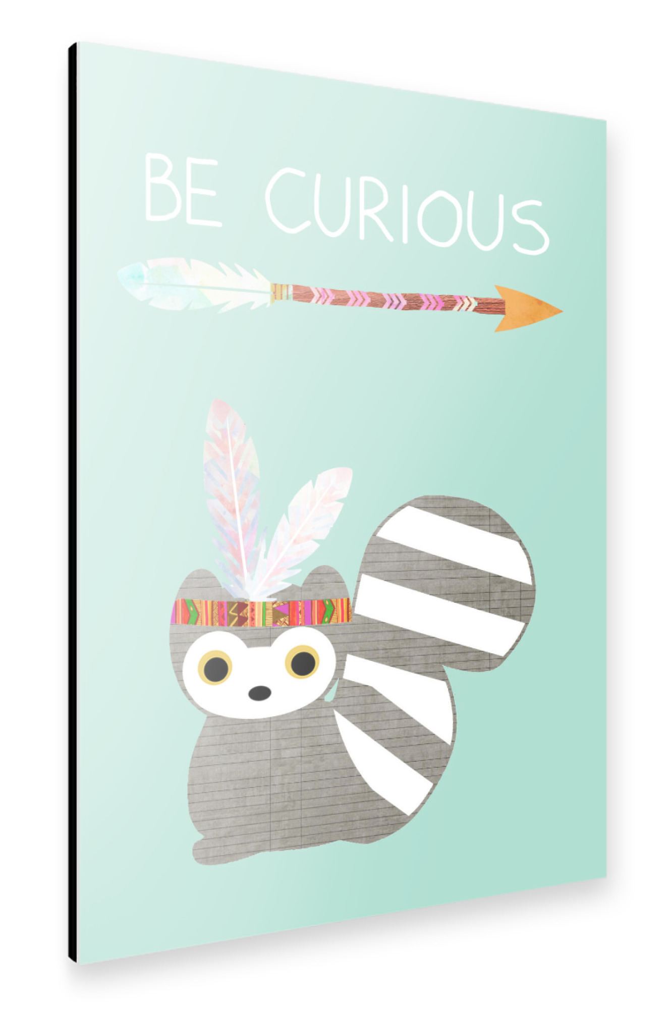 Alu-Dibond "Be Curious Indianer Waschbär" 75x50 cm artboxONE