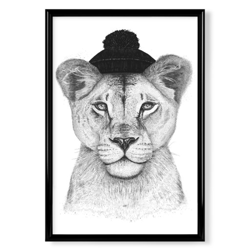 Lioness in hat