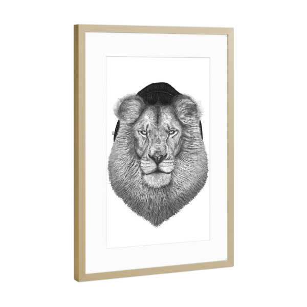 Poster mit Rahmen Gold "Lion in hat" artboxONE - Tiere,Schwarzweiß,Lustig