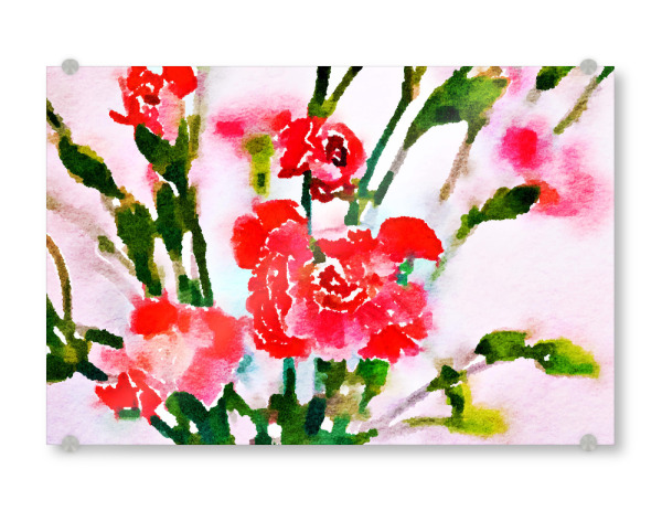 Acrylglasbild "Red Blossom 2" artboxONE - Natur,Floral