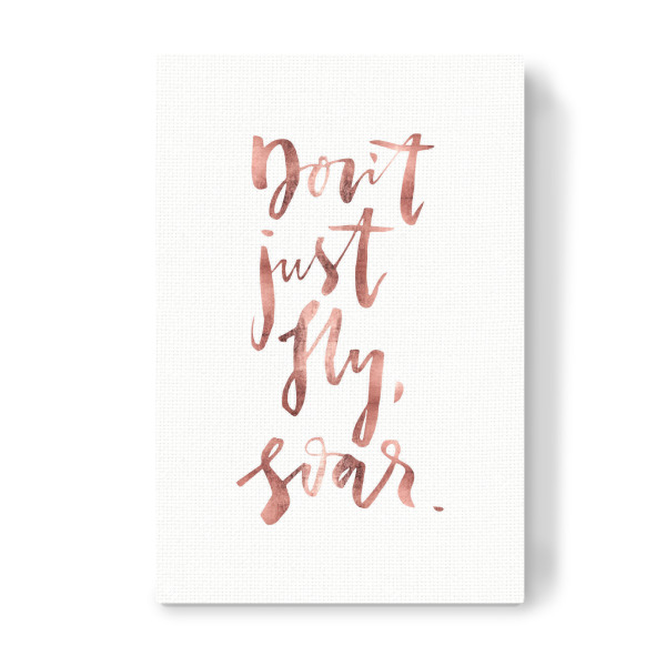 Leinwandbild "Don't Just Fly, Soar" artboxONE - Typografie,Reise,Sport / Motivation