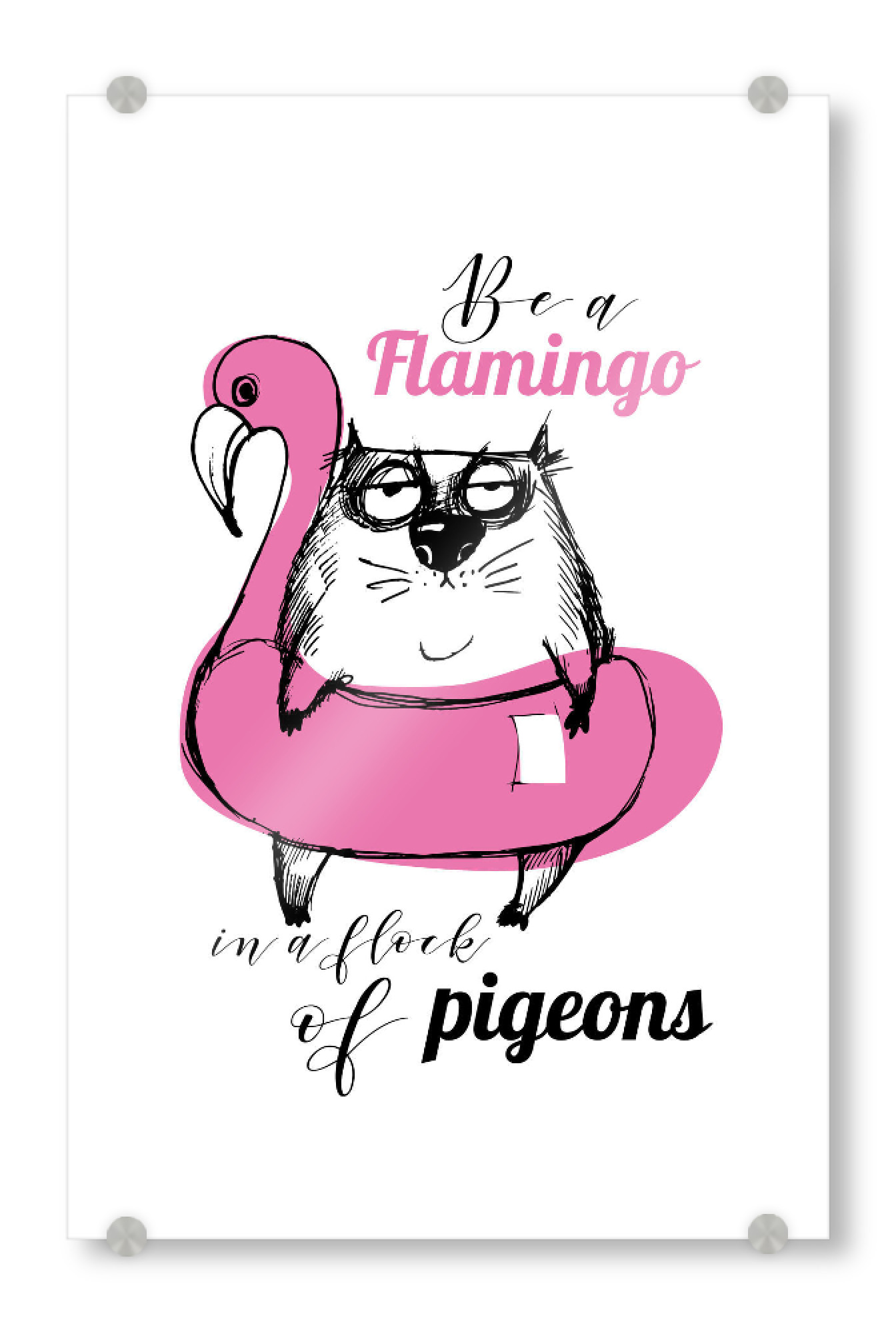 Acrylglasbild "Be a flamingo 3" artboxONE - Typografie,Tiere - Funny,Cat,Illustration,Lettering