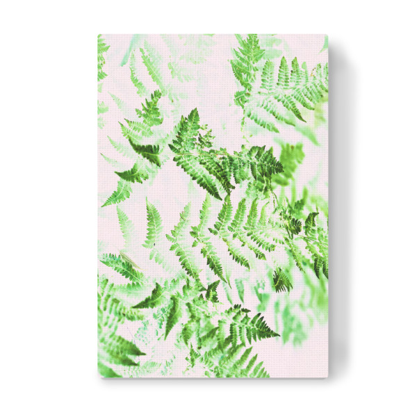 Leinwandbild "Fern Forest" artboxONE - Natur,Floral