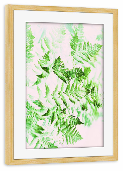 Poster mit Rahmen kiefer "Fern Forest" artboxONE - Natur,Floral