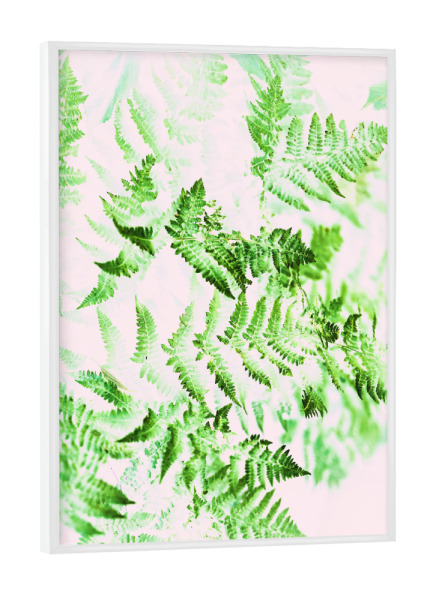 Poster mit weißem Rahmen "Fern Forest" artboxONE - Natur,Floral