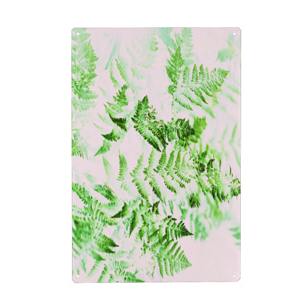 Metall Poster "Fern Forest" artboxONE - Natur,Floral
