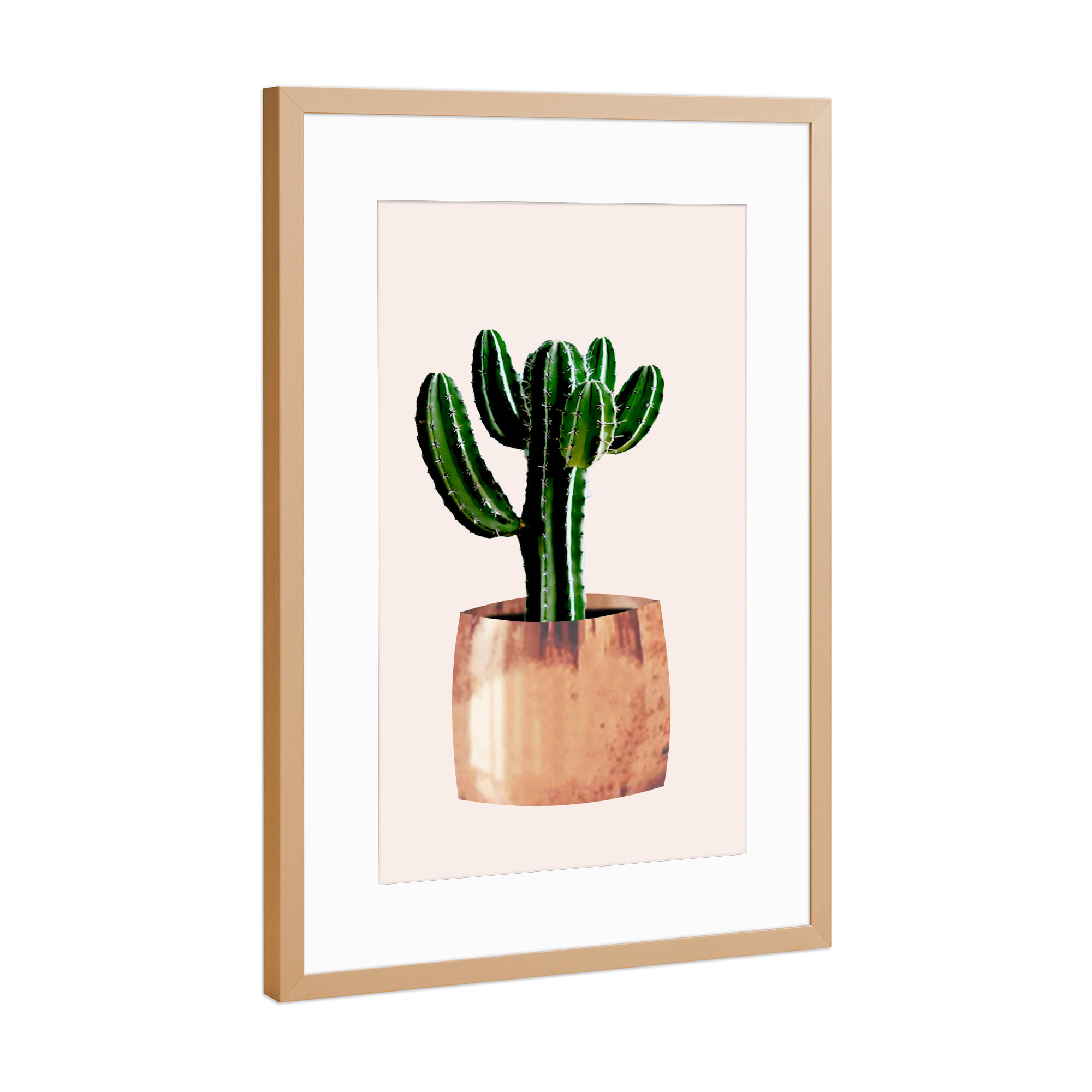 Poster mit Rahmen Kupfer "Kaktus im Topf" artboxONE - Floral - Kaktus,Pflanze,Kakteen,Kübel,Stachel,Pflanzen,Blume