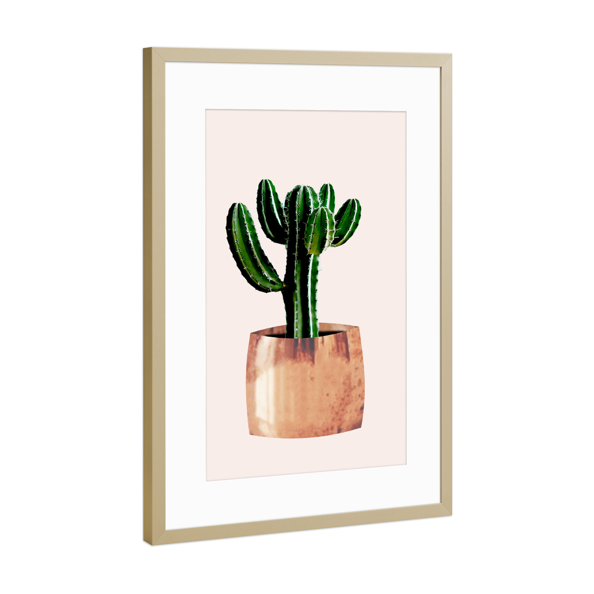 Poster mit Rahmen Gold "Kaktus im Topf" artboxONE - Floral - Kaktus,Pflanze,Kakteen,Kübel,Stachel,Pflanzen,Blume