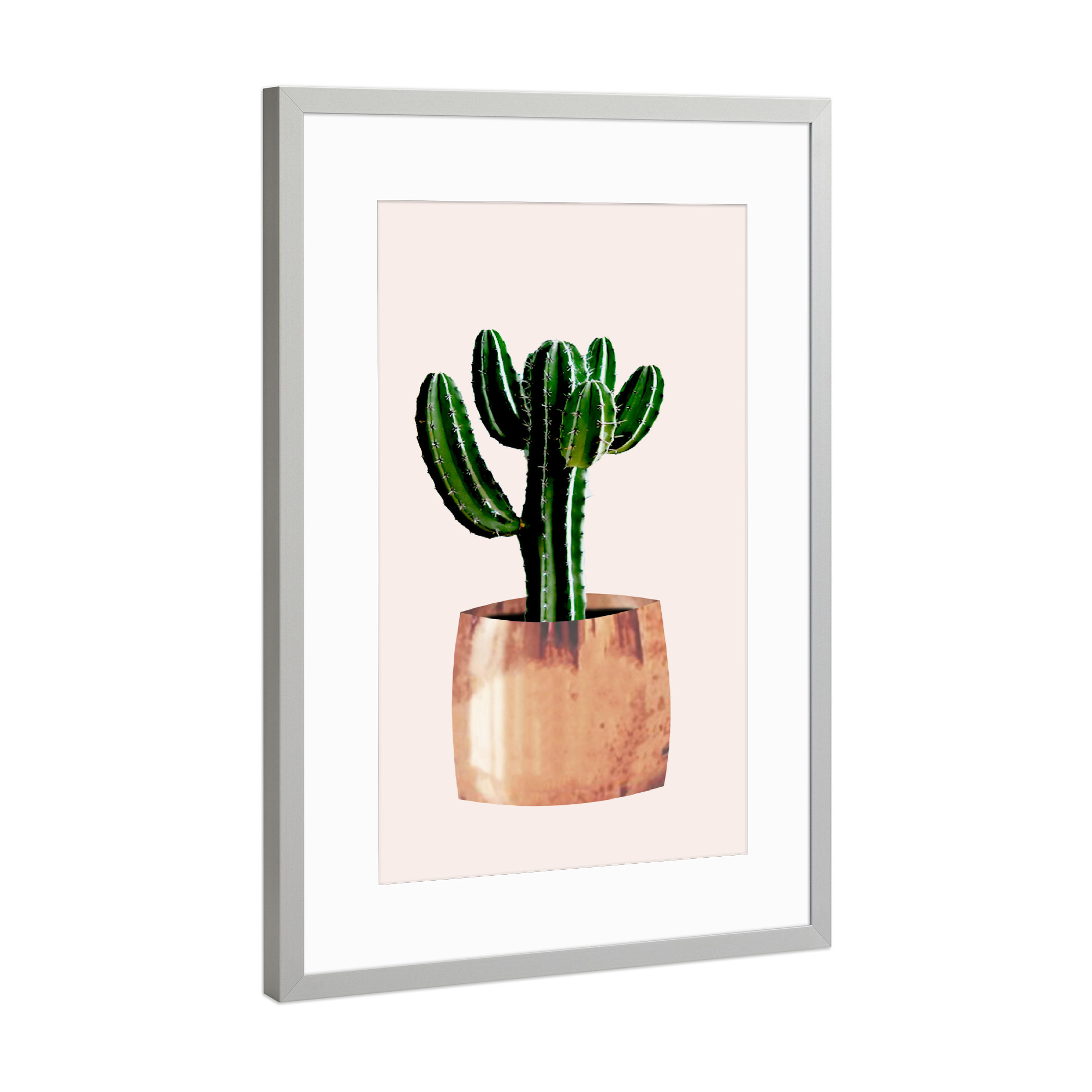 Poster mit Rahmen Silber "Kaktus im Topf" artboxONE - Floral - Kaktus,Pflanze,Kakteen,Kübel,Stachel,Pflanzen,Blume