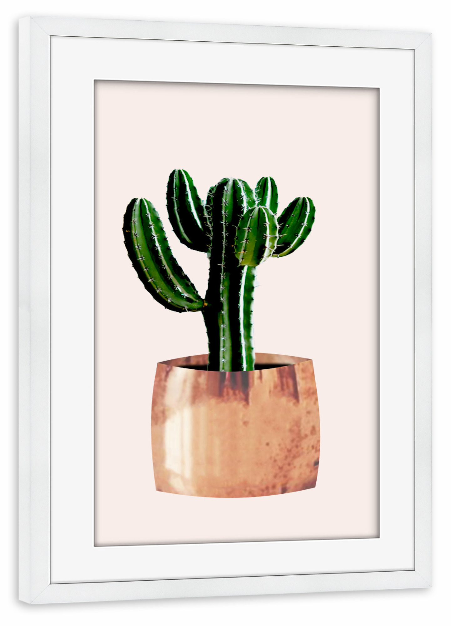 Poster mit Rahmen weiß "Kaktus im Topf" artboxONE - Floral - Kaktus,Pflanze,Kakteen,Kübel,Stachel,Pflanzen,Blume