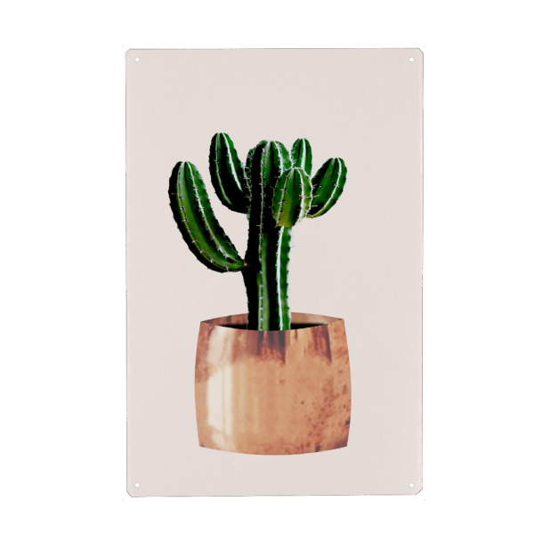 Holzbild "Kaktus im Topf" artboxONE - Floral - Kaktus,Pflanze,Kakteen,Kübel,Stachel,Pflanzen,Blume