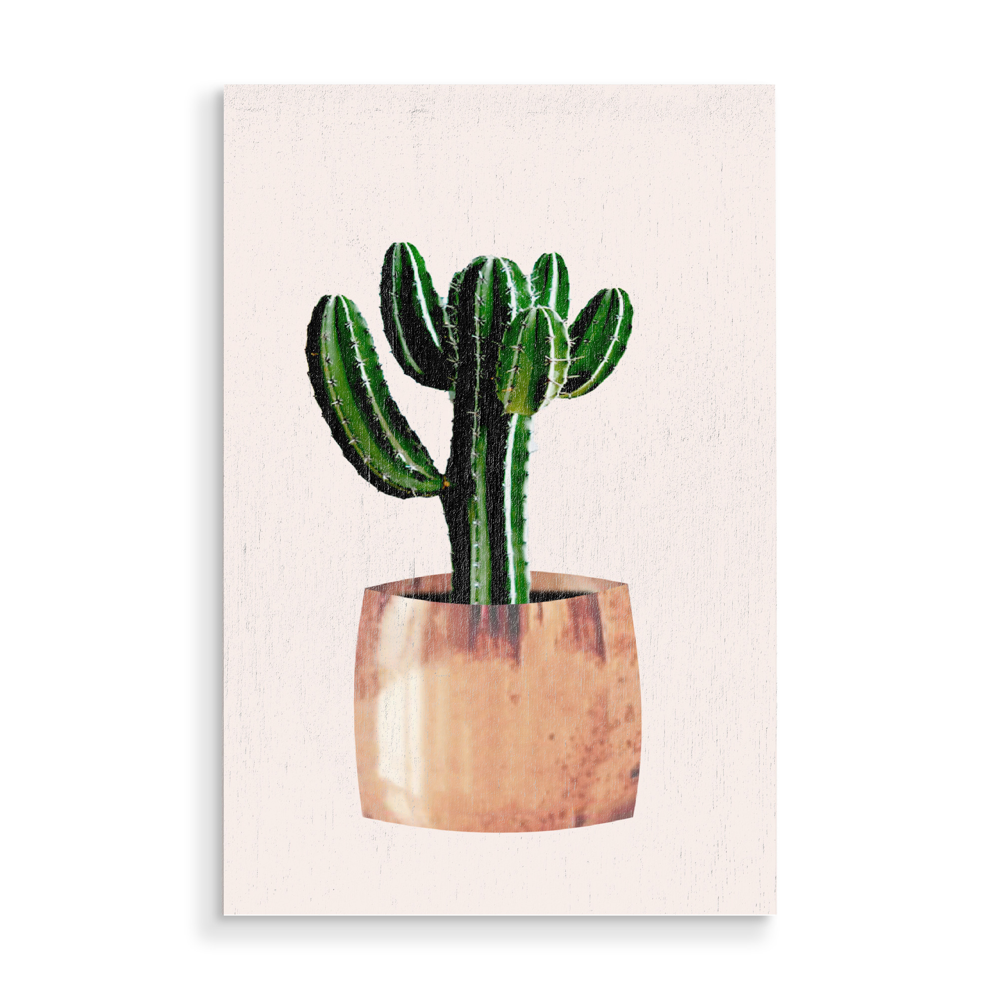 Holzbild "Kaktus im Topf" artboxONE - Floral - Kaktus,Pflanze,Kakteen,Kübel,Stachel,Pflanzen,Blume