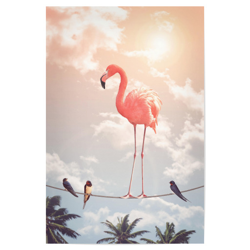 Flamingo & Friends