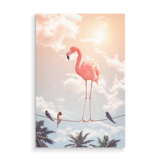 Flamingo & Friends