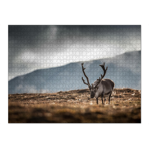 Puzzle Ravensburger "Reindeer 2" artboxONE - Natur,Tiere