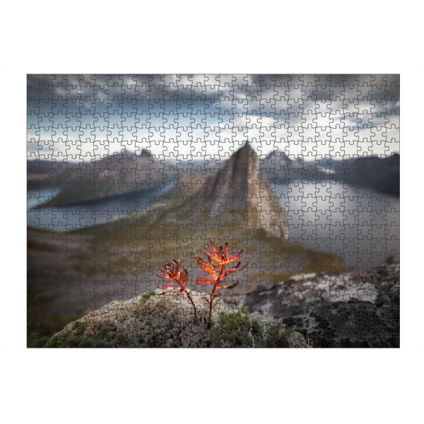 Puzzle Ravensburger "Prospect Plant" artboxONE - Natur