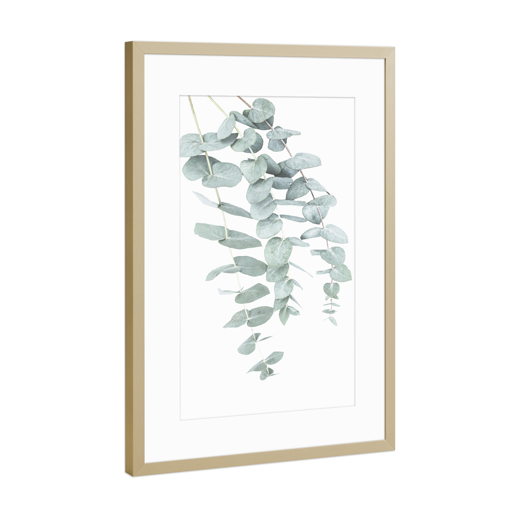 Poster mit Rahmen Gold "Eucalyptus I" artboxONE - Natur,Floral
