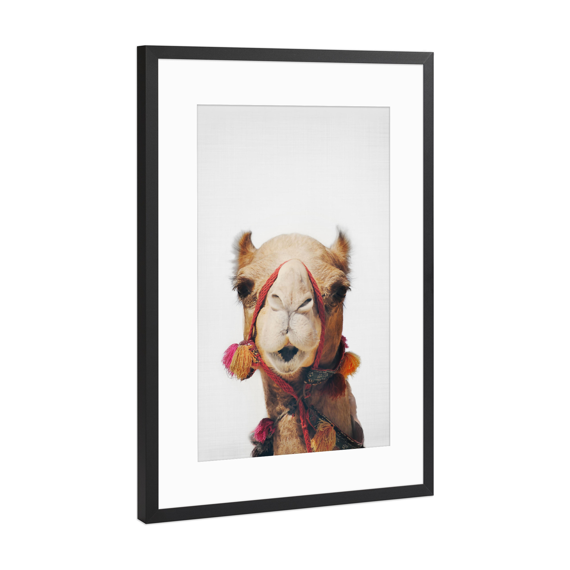 Poster mit Rahmen Schwarz (Metallic) "Camel" artboxONE - Tiere,Reise / Afrika