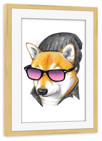 Poster mit Rahmen kiefer "Cool siba Inu" artboxONE - Tiere,Fashion,Männer - Hund,Tier,Cool,Haustier,Siba inu,Hut,Brille