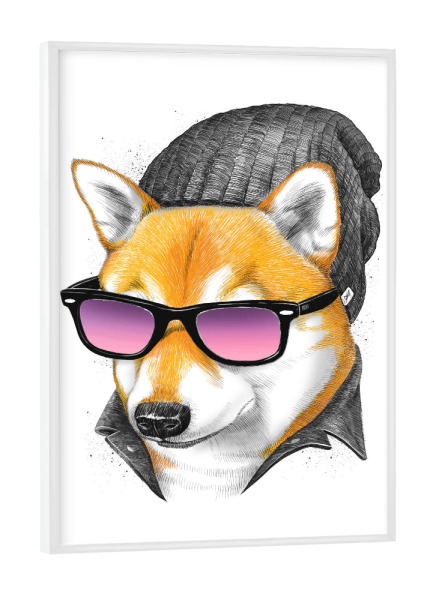 Poster mit weißem Rahmen "Cool siba Inu" artboxONE - Tiere,Fashion,Männer - Hund,Tier,Cool,Haustier,Siba inu,Hut,Brille