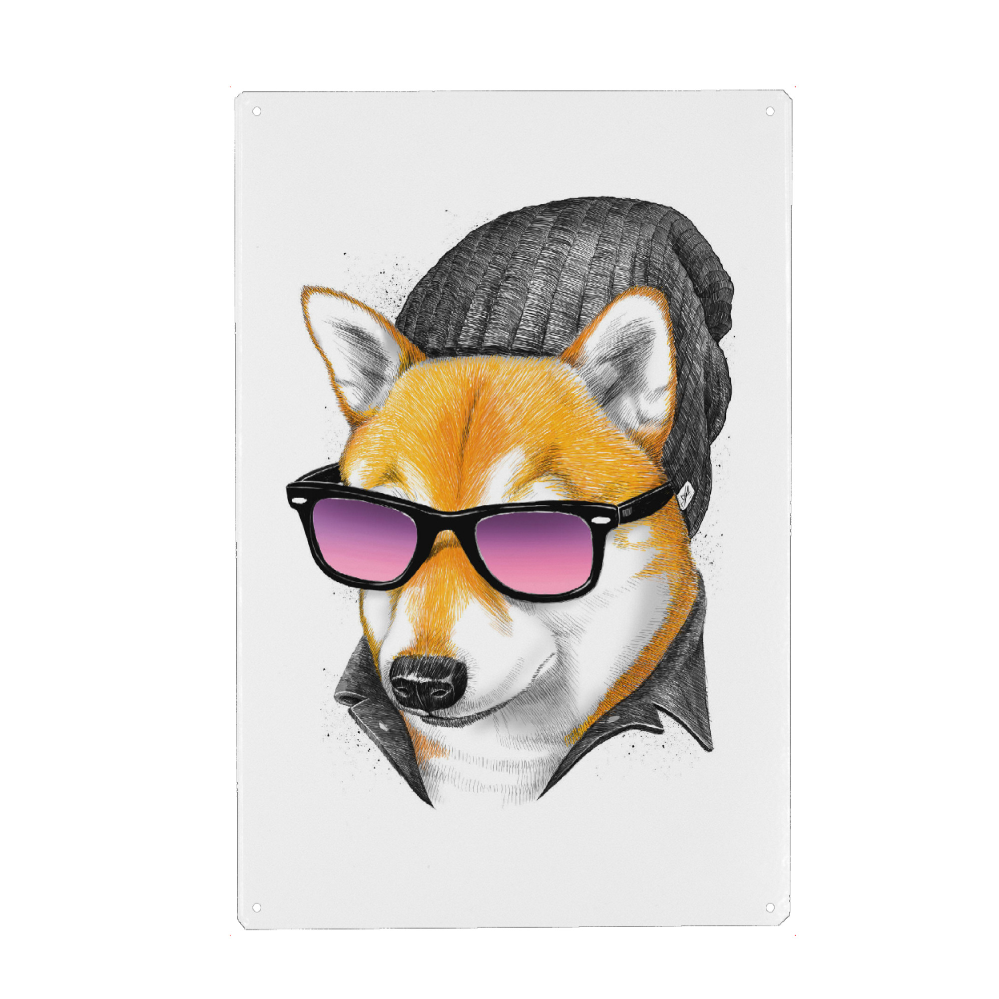 Metall Poster "Cool siba Inu" artboxONE - Tiere,Fashion,Männer - Hund,Tier,Cool,Haustier,Siba inu,Hut,Brille - Blechschild