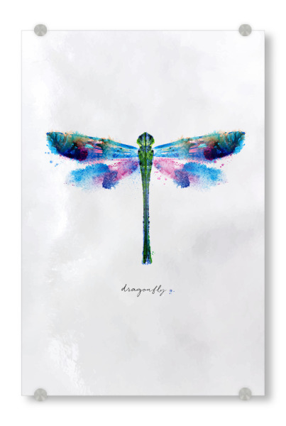 Acrylglasbild "Monotype vivid dragonfly" artboxONE - Natur,Tiere