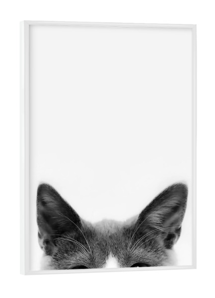 Poster mit weißem Rahmen "Curious Cat" artboxONE - Tiere,Schwarzweiß,Für Mama,Lustig - Katze,Tier,Peeking