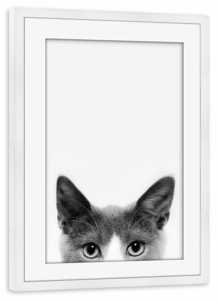 Poster mit Rahmen weiß "Curious Cat" artboxONE - Tiere,Schwarzweiß,Für Mama,Lustig - Katze,Tier,Peeking