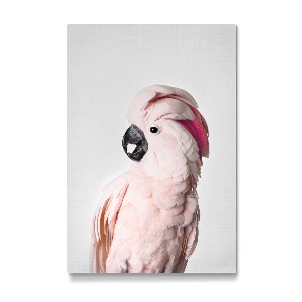 Galerie-Print "Pink cockatoo" 30x20 cm artboxONE