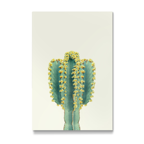Galerie-Print "Mexican Cactus" 30x20 cm artboxONE