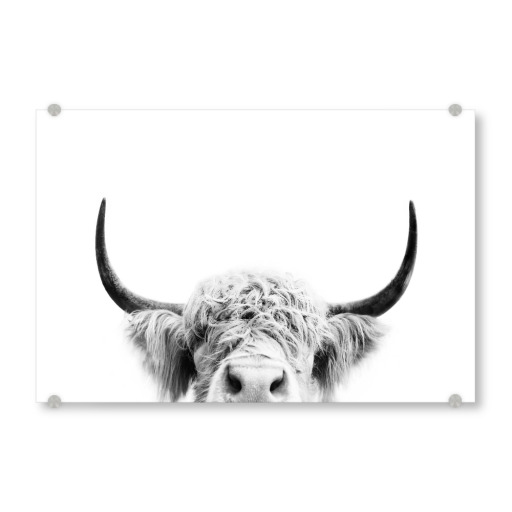 Peeking Cow BW