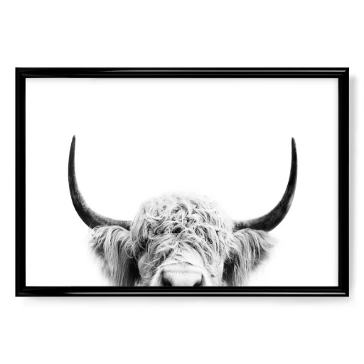 Peeking Cow BW