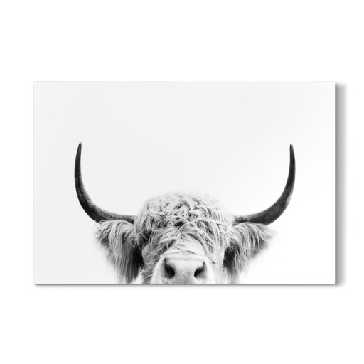Peeking Cow BW