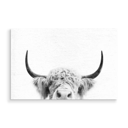 Peeking Cow BW