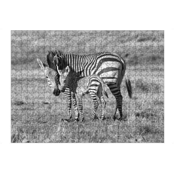 Puzzle Ravensburger "Zebra Mutter mit Baby 6850" artboxONE - Tiere,Schwarzweiß,Reise / Afrika