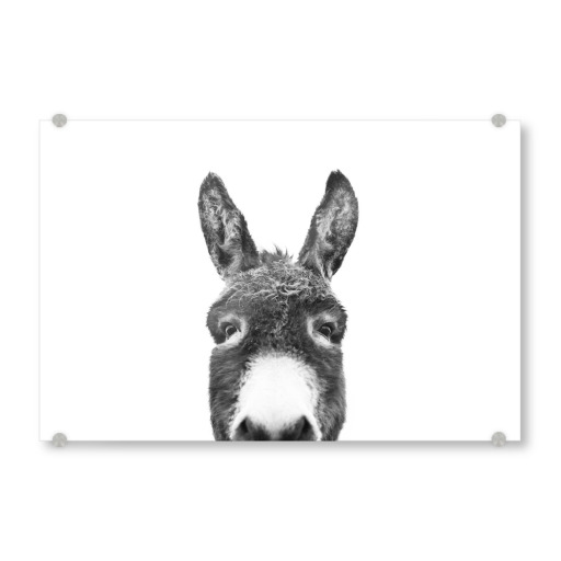 Peeking Donkey