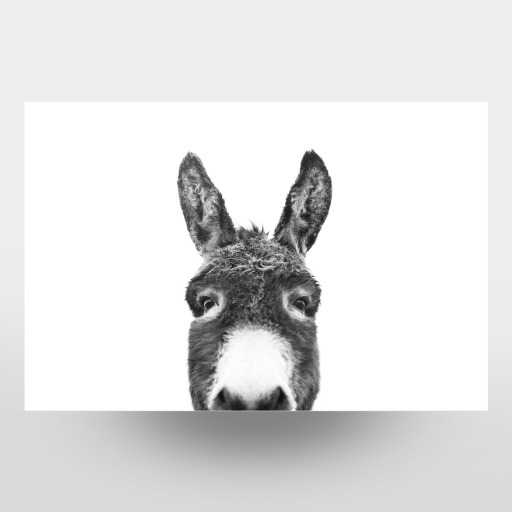 Peeking Donkey