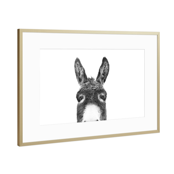 Poster mit Rahmen Gold "Peeking Donkey" artboxONE - Tiere,Schwarzweiß