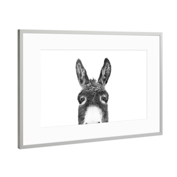 Poster mit Rahmen Silber "Peeking Donkey" artboxONE - Tiere,Schwarzweiß