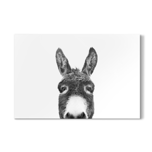 Peeking Donkey