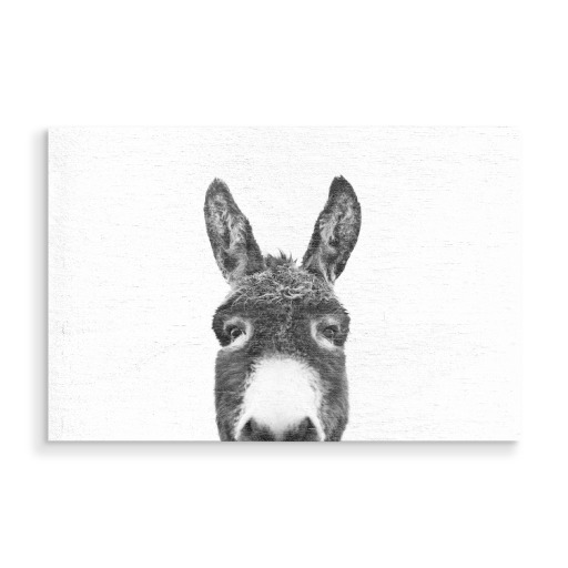 Peeking Donkey