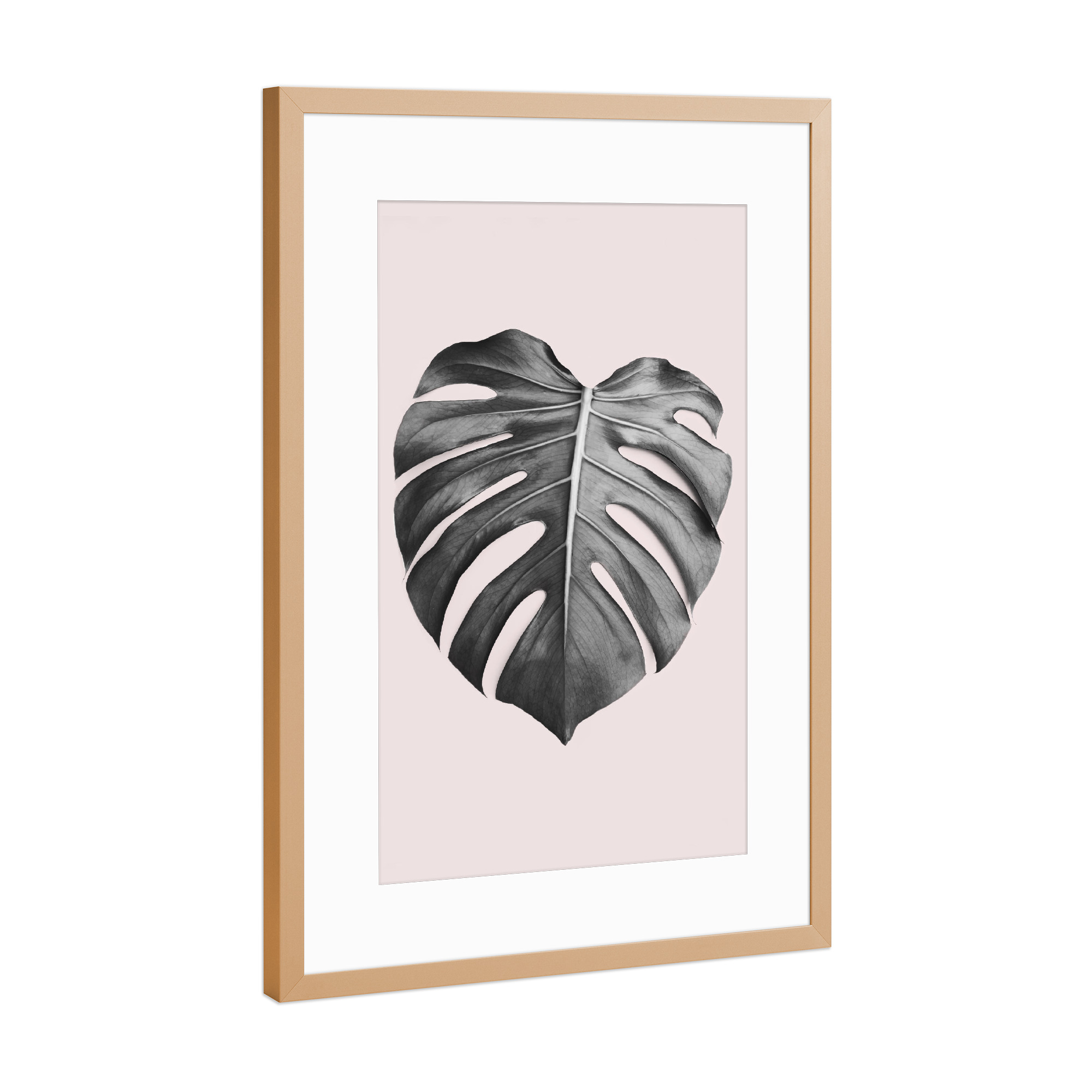 Poster mit Rahmen Kupfer "Blush Pink Monstera" artboxONE - Natur