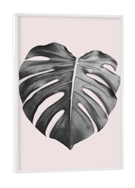Poster mit weißem Rahmen "Blush Pink Monstera" artboxONE - Natur
