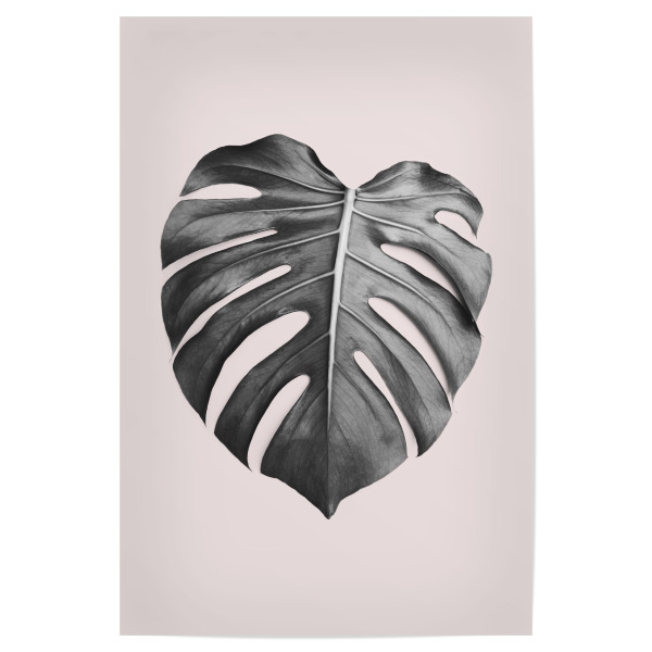 Poster "Blush Pink Monstera" artboxONE - Natur