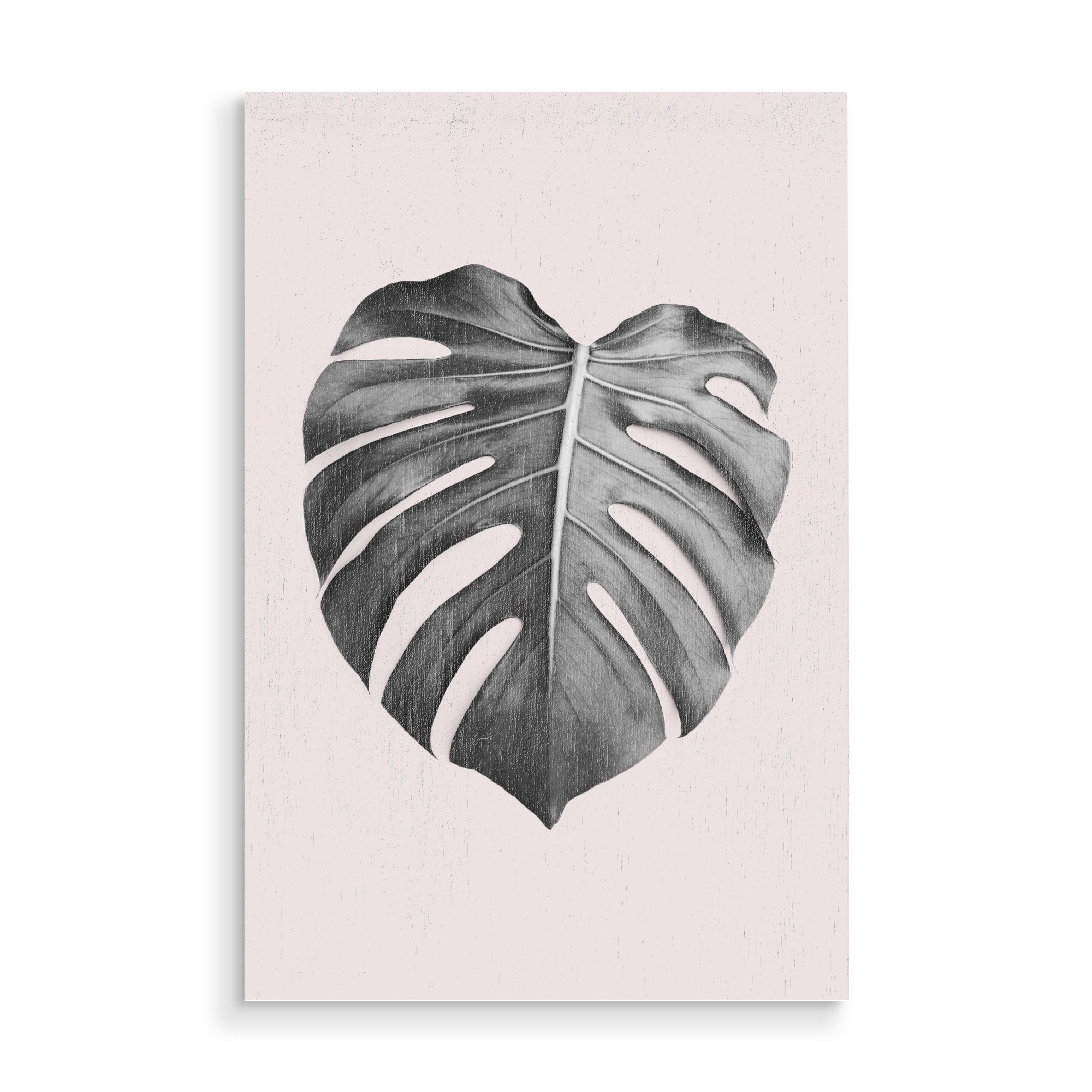 Holzbild "Blush Pink Monstera" artboxONE - Natur