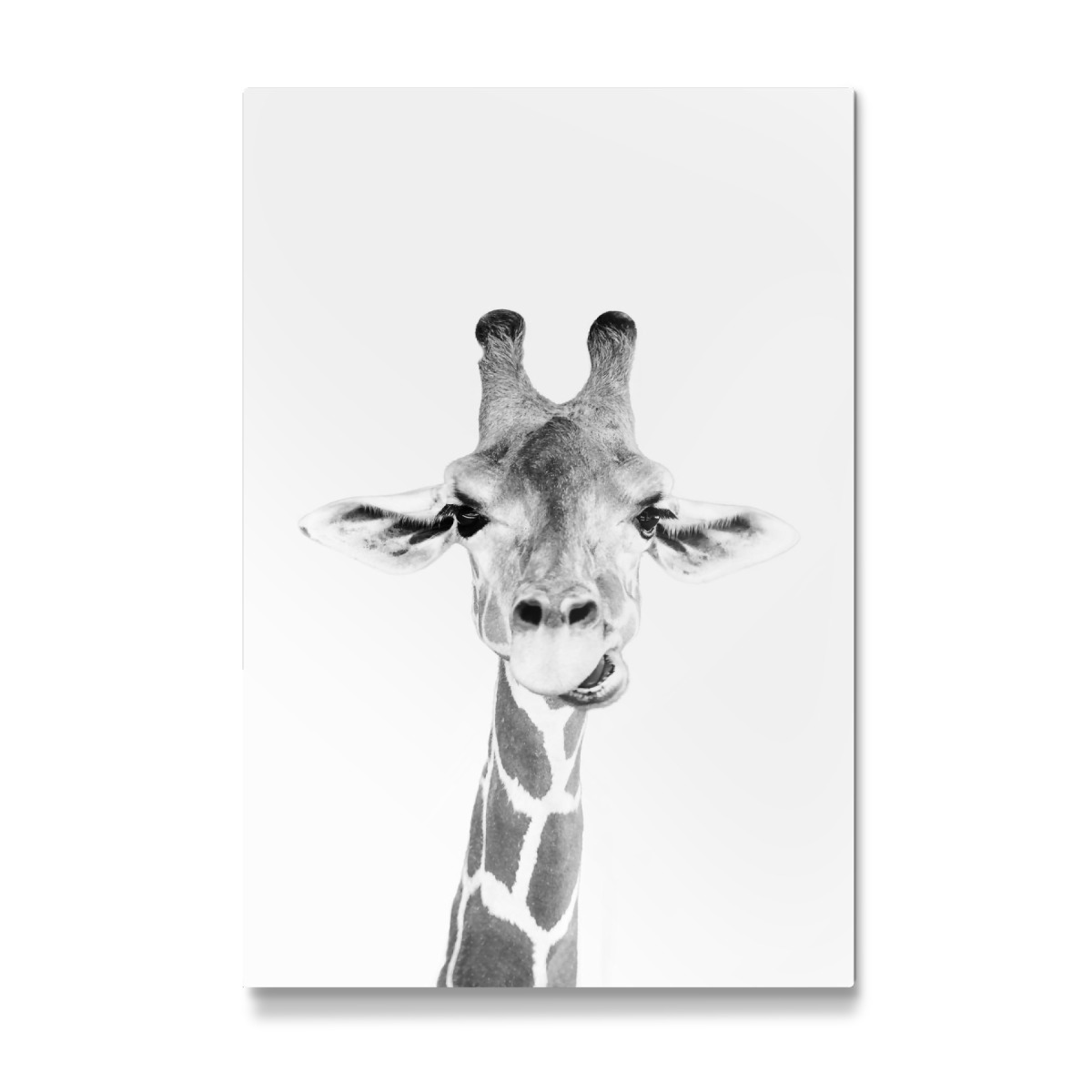 Featured image of post Artboxone Bilder Hinter artboxone steht das unternehmen pixum das es sich zur aufgabe