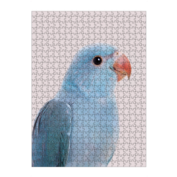 artboxONE Puzzle "Blue Bird" artboxONE - Tiere - Blue and beige,Parakeet,Animal,Tropical bird,Exotic bird,Animal portrait,Bird,Vogel